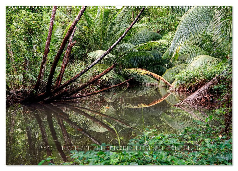 Seychellen - Inselparadiese Mahé La Digue Praslin (CALVENDO Premium Wandkalender 2025)