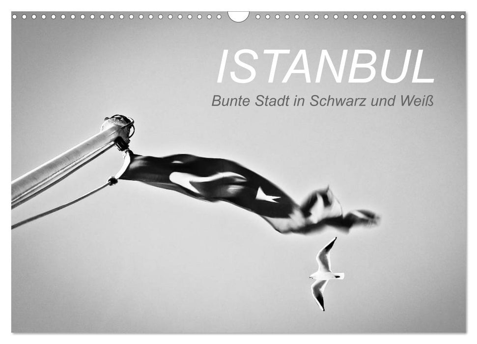 Istanbul - Bunte Stadt in Schwarz und Weiß (CALVENDO Wandkalender 2025)