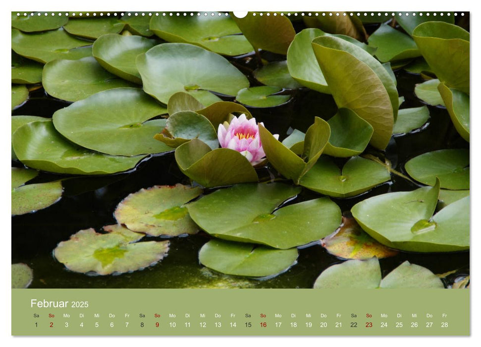 Am Teich. Zauberhafte Welt (CALVENDO Premium Wandkalender 2025)