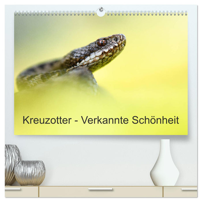 Kreuzotter - Verkannte Schönheit (CALVENDO Premium Wandkalender 2025)