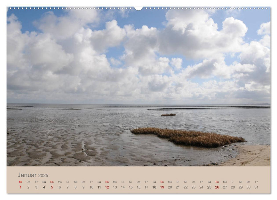 Sylt-Momente (CALVENDO Premium Wandkalender 2025)