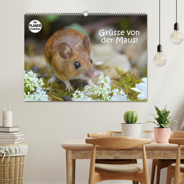 Grüsse von der Maus! (CALVENDO Wandkalender 2025)