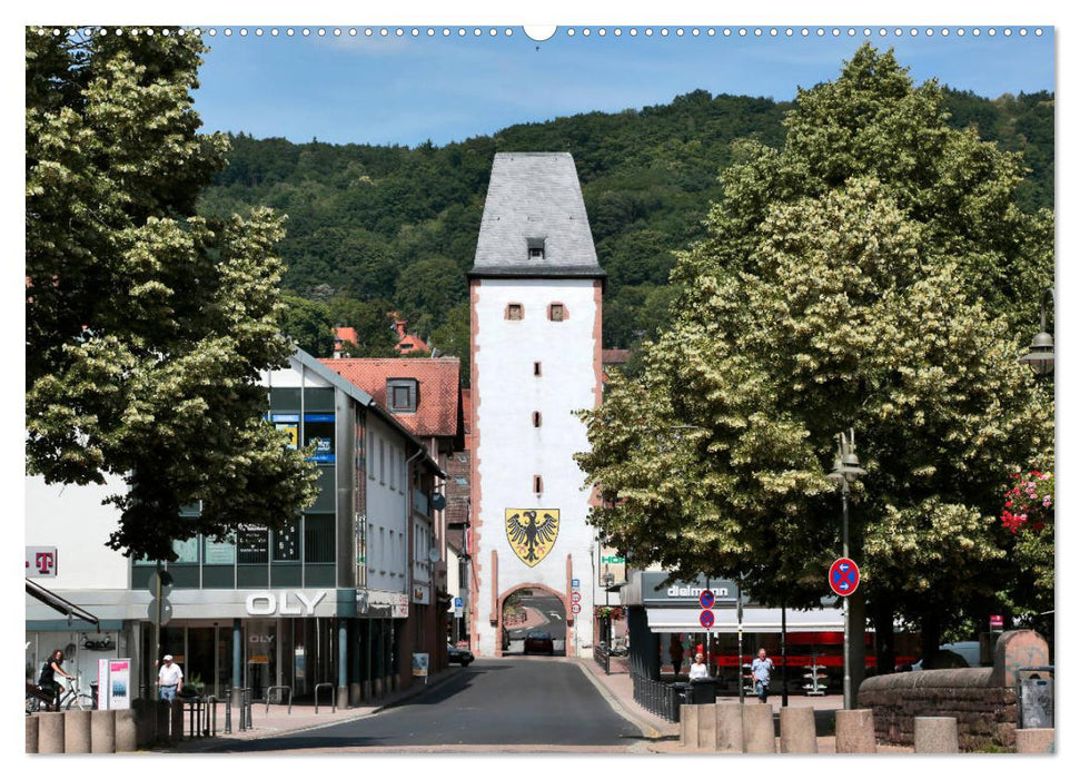 Barbarossastadt Gelnhausen vom Frankfurter Taxifahrer Petrus Bodenstaff (CALVENDO Wandkalender 2025)