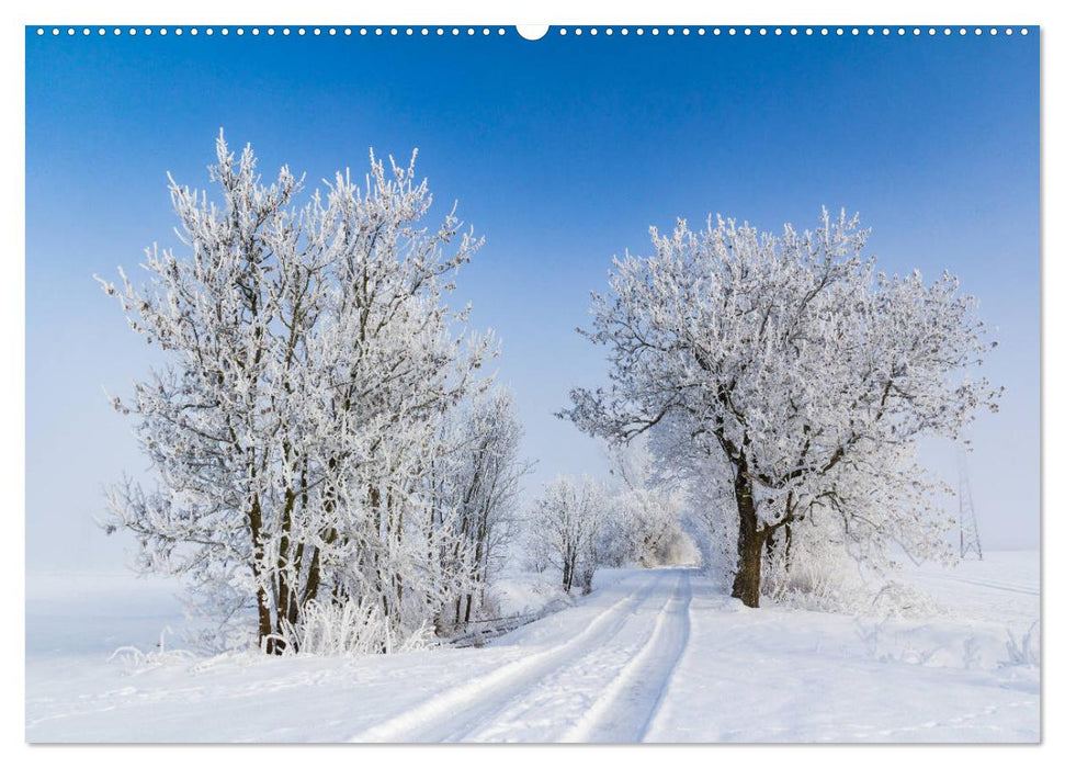 Vorpommern - von Altefähr bis Zinnowitz (CALVENDO Premium Wandkalender 2025)