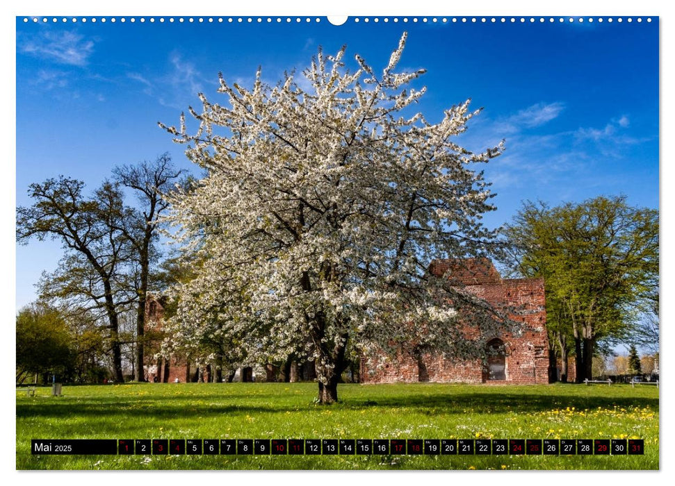 Vorpommern - von Altefähr bis Zinnowitz (CALVENDO Premium Wandkalender 2025)