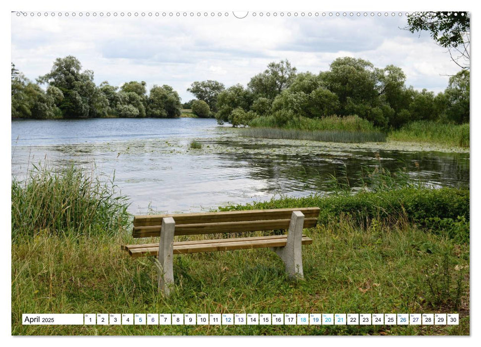 Ein Sommer im Havelland - Spaziergang entlang am Havelradweg (CALVENDO Premium Wandkalender 2025)