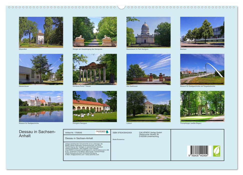 Dessau in Sachsen-Anhalt (CALVENDO Premium Wandkalender 2025)