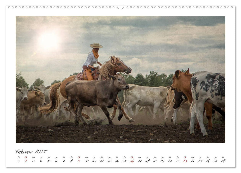 Mecklenburgs Wilder Westen (CALVENDO Premium Wandkalender 2025)