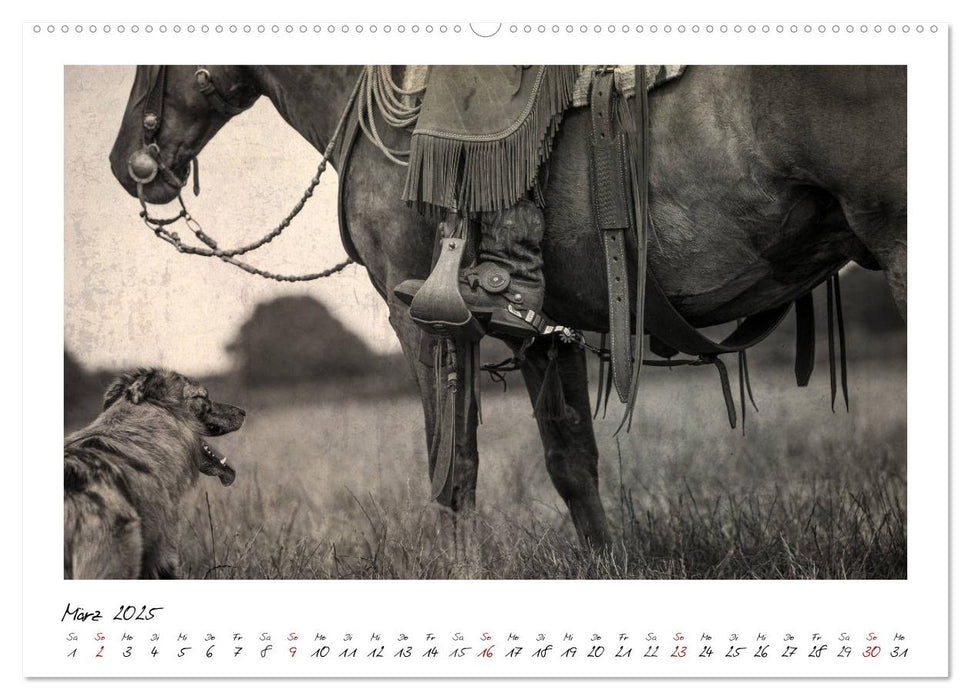 Mecklenburgs Wilder Westen (CALVENDO Premium Wandkalender 2025)