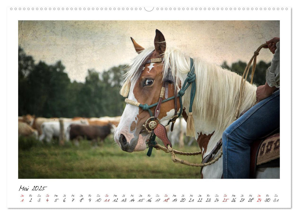 Mecklenburgs Wilder Westen (CALVENDO Premium Wandkalender 2025)