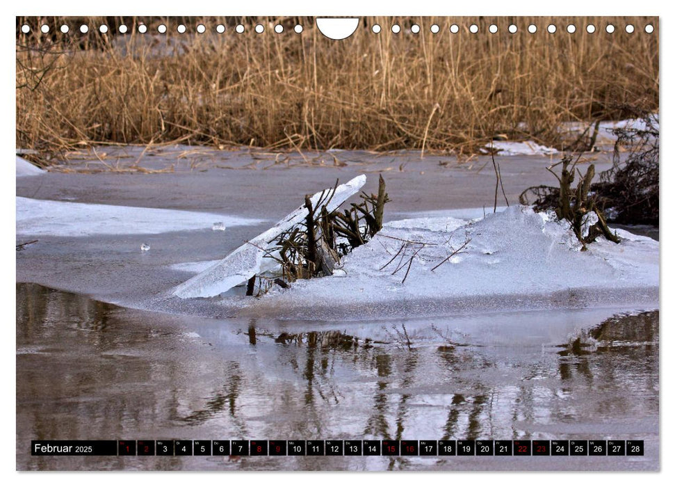 Oderlandschaft (CALVENDO Wandkalender 2025)