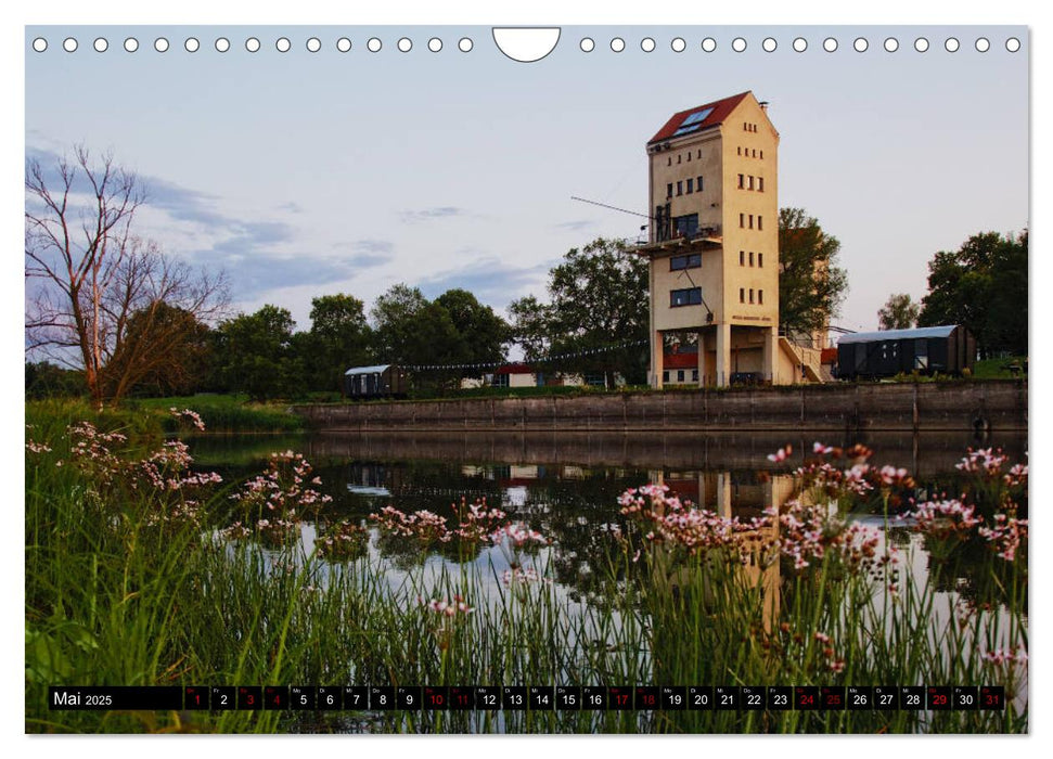 Oderlandschaft (CALVENDO Wandkalender 2025)