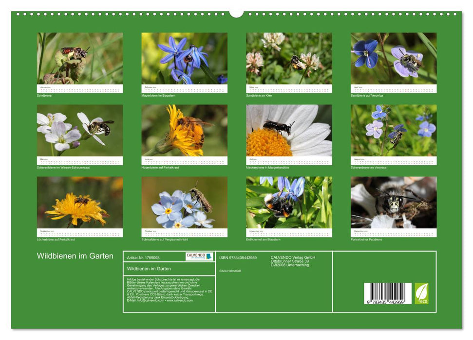 Wildbienen im Garten (CALVENDO Premium Wandkalender 2025)