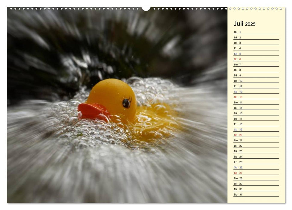 Enten-Rennen (CALVENDO Premium Wandkalender 2025)