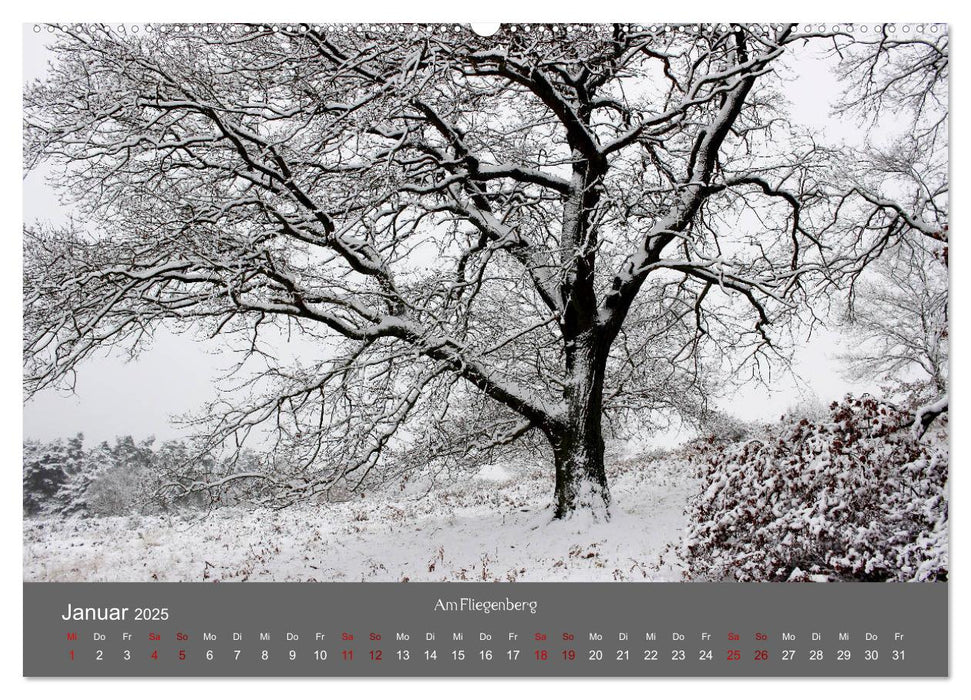 Wahner Heide - Aussichten und Begegnungen (CALVENDO Wandkalender 2025)