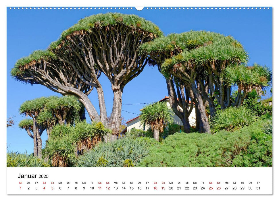 Madeira - Gärten und Quintas (CALVENDO Premium Wandkalender 2025)