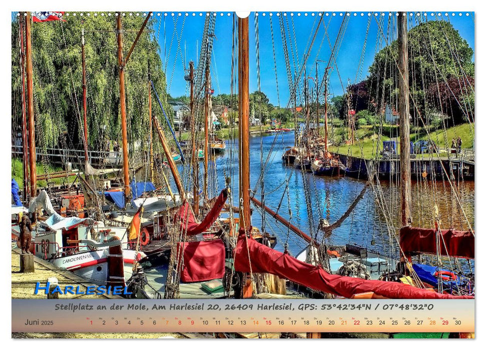 Mit dem Wohnmobil an die Nordsee (CALVENDO Premium Wandkalender 2025)