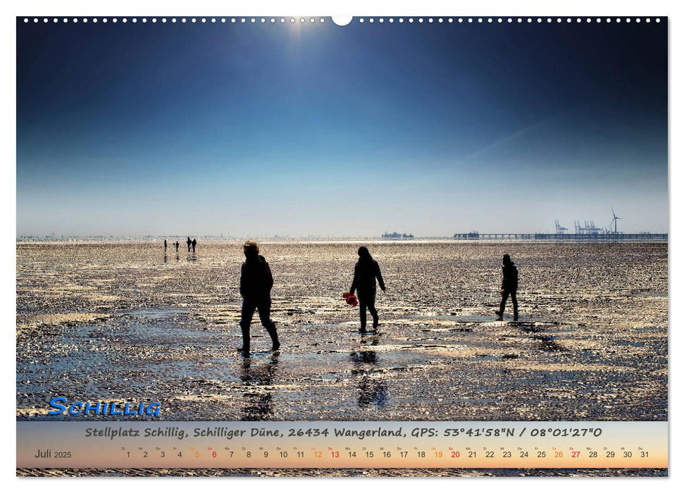 Mit dem Wohnmobil an die Nordsee (CALVENDO Premium Wandkalender 2025)