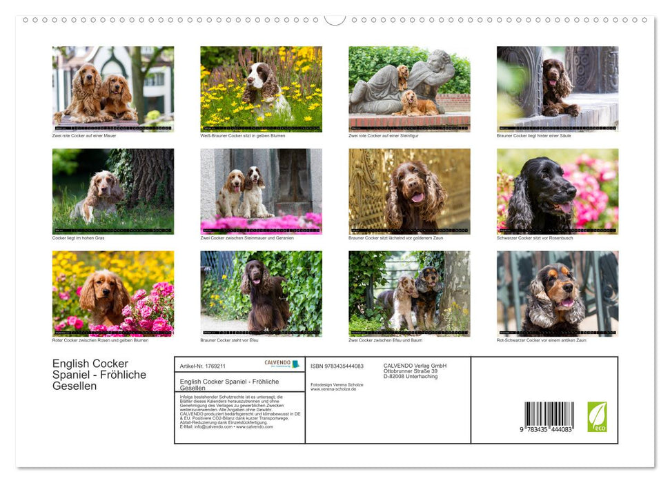 English Cocker Spaniel - Fröhliche Gesellen (CALVENDO Premium Wandkalender 2025)