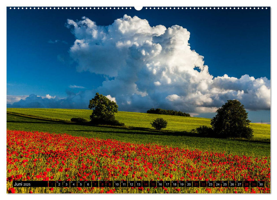 Jura. Polen (CALVENDO Premium Wandkalender 2025)