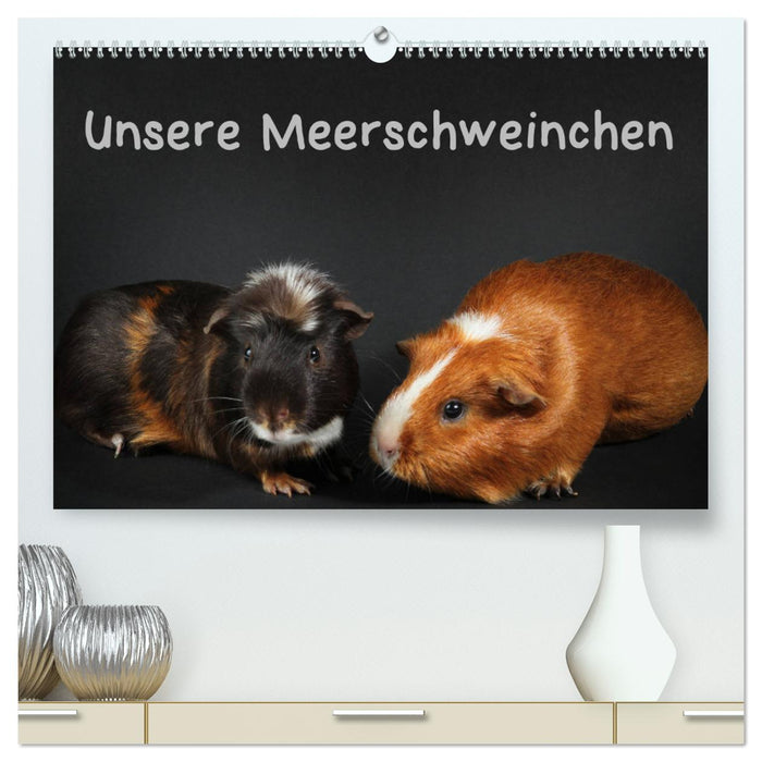 Unsere Meerschweinchen (CALVENDO Premium Wandkalender 2025)