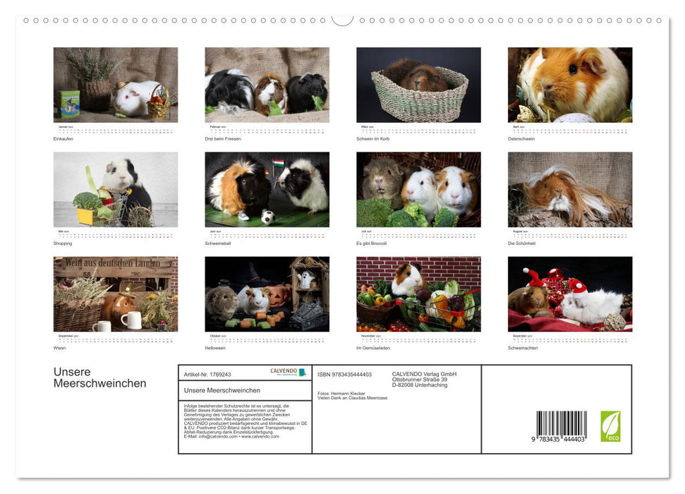 Unsere Meerschweinchen (CALVENDO Premium Wandkalender 2025)