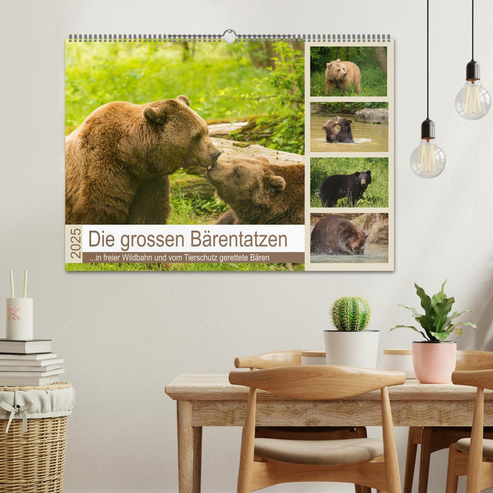 Die grossen Bärentatzen (CALVENDO Wandkalender 2025)