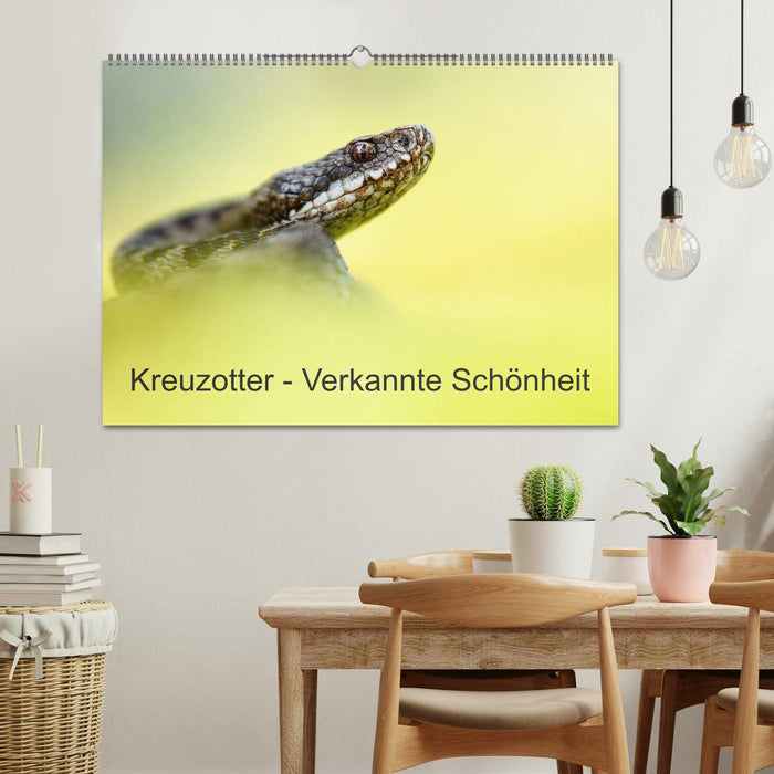 Kreuzotter - Verkannte Schönheit (CALVENDO Wandkalender 2025)