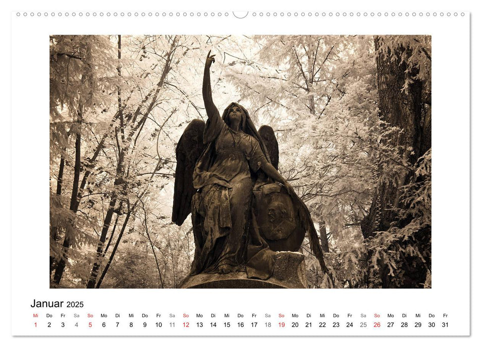 your guardian angel - Dein Schutzengel für jeden Tag (CALVENDO Premium Wandkalender 2025)