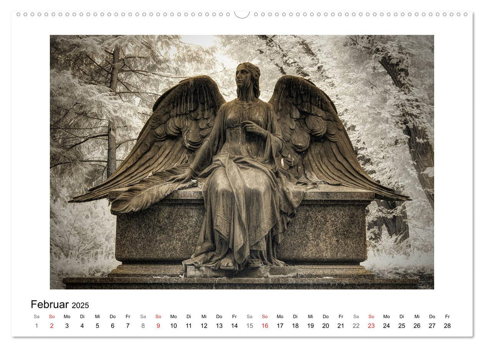 your guardian angel - Dein Schutzengel für jeden Tag (CALVENDO Premium Wandkalender 2025)