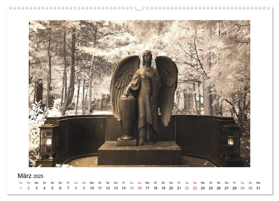 your guardian angel - Dein Schutzengel für jeden Tag (CALVENDO Premium Wandkalender 2025)