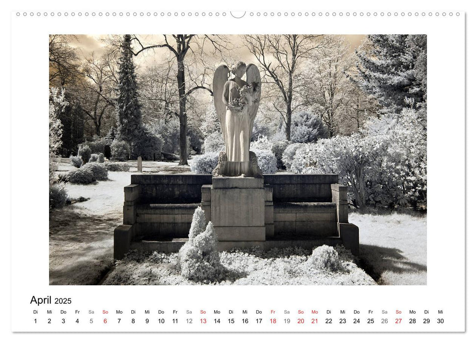 your guardian angel - Dein Schutzengel für jeden Tag (CALVENDO Premium Wandkalender 2025)