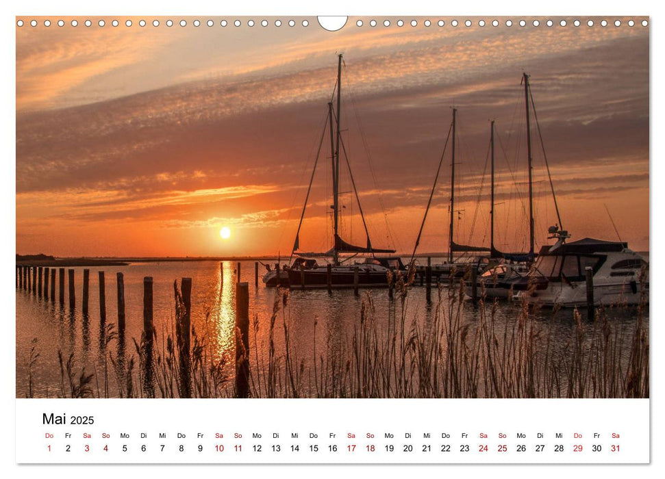 Ein Tag auf der Insel Hiddensee (CALVENDO Wandkalender 2025)