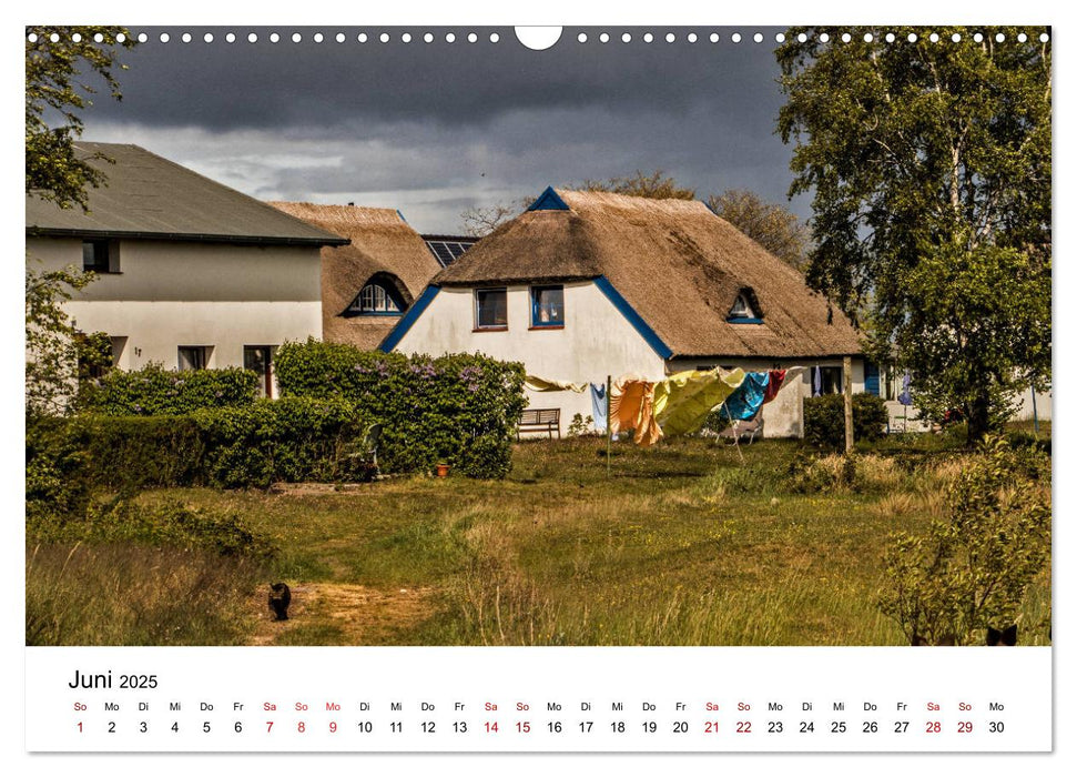 Ein Tag auf der Insel Hiddensee (CALVENDO Wandkalender 2025)