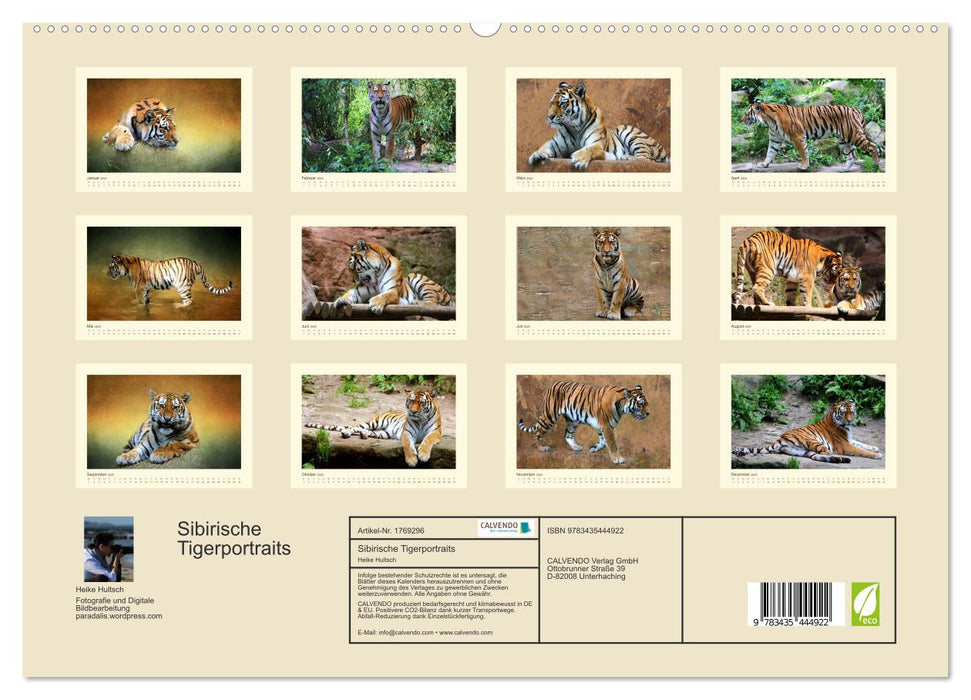 Sibirische Tigerportraits (CALVENDO Premium Wandkalender 2025)