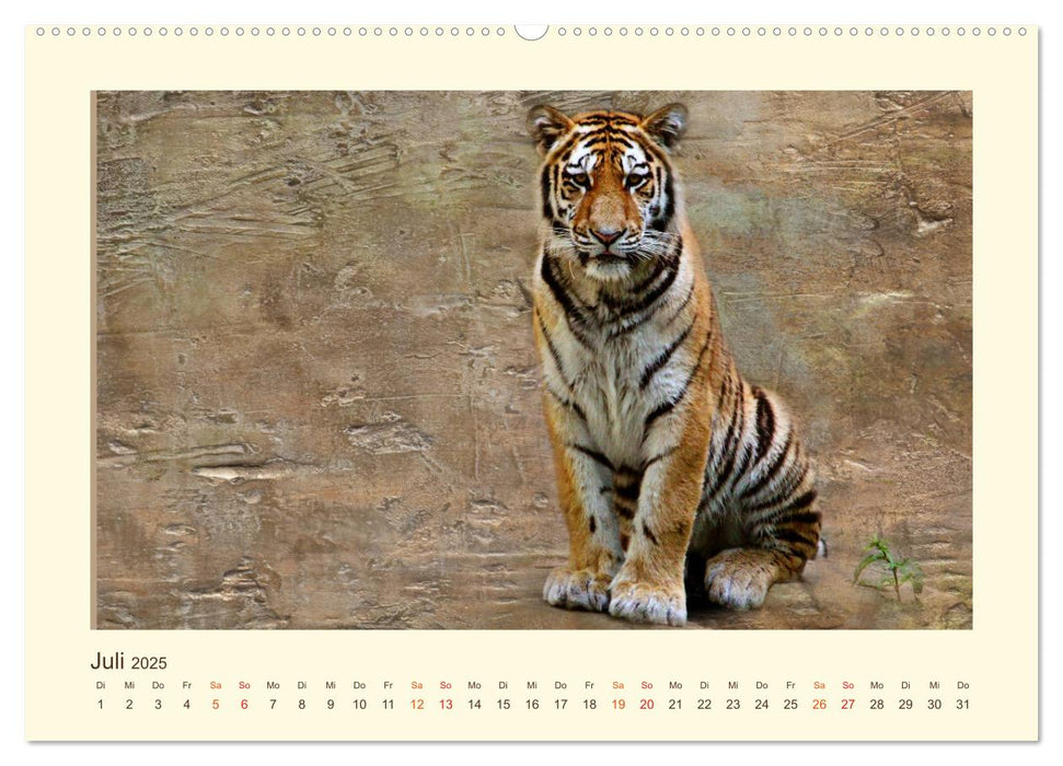 Sibirische Tigerportraits (CALVENDO Premium Wandkalender 2025)