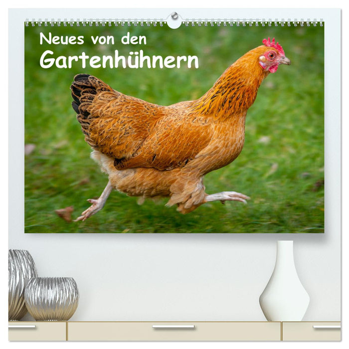 Neues von den Gartenhühnern (CALVENDO Premium Wandkalender 2025)