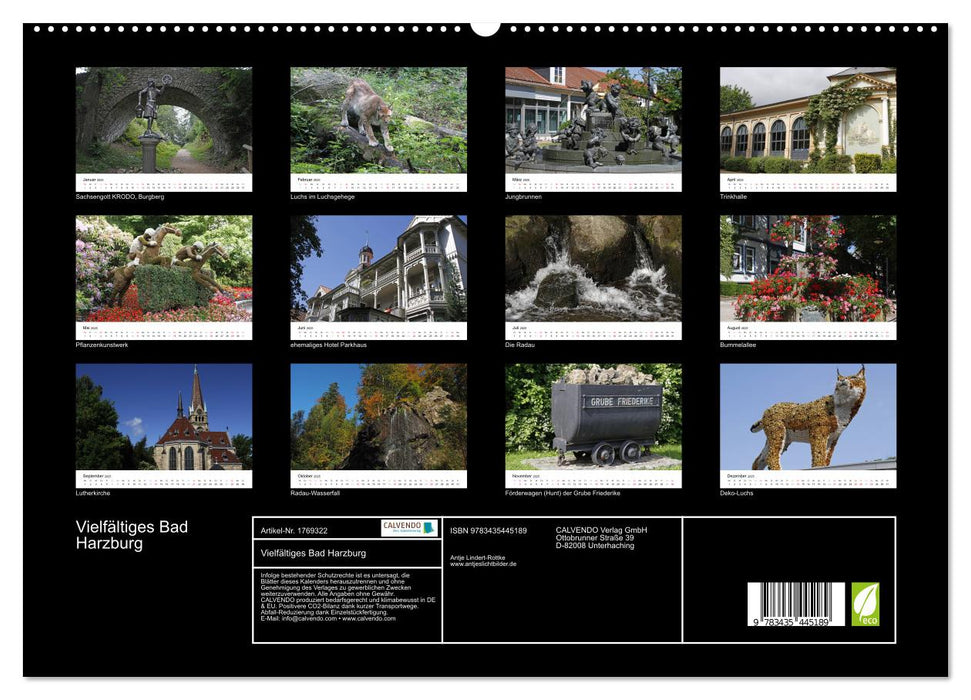 Vielfältiges Bad Harzburg (CALVENDO Premium Wandkalender 2025)