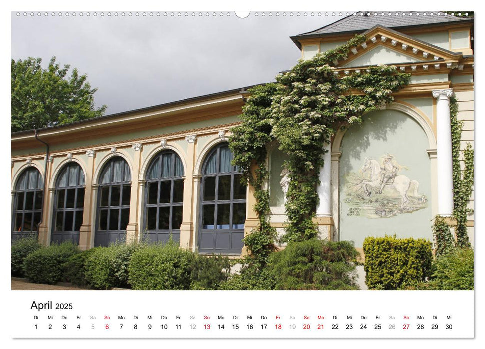 Vielfältiges Bad Harzburg (CALVENDO Premium Wandkalender 2025)