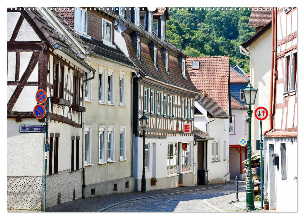 Schönes Eppstein vom Frankfurter Taxifahrer Petrus Bodenstaff (CALVENDO Premium Wandkalender 2025)