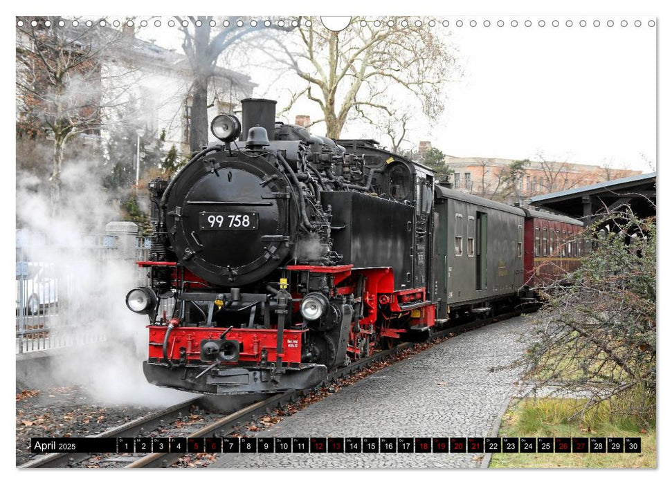 Dampfbahnromantik - Dampfbahnen auf schmaler Spur (CALVENDO Wandkalender 2025)