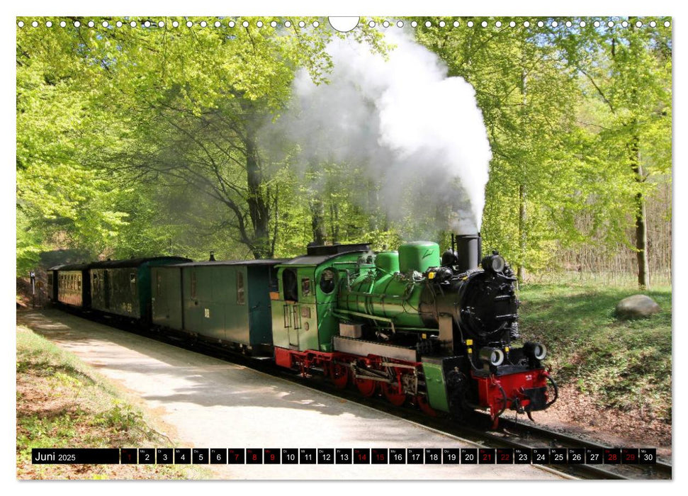 Dampfbahnromantik - Dampfbahnen auf schmaler Spur (CALVENDO Wandkalender 2025)