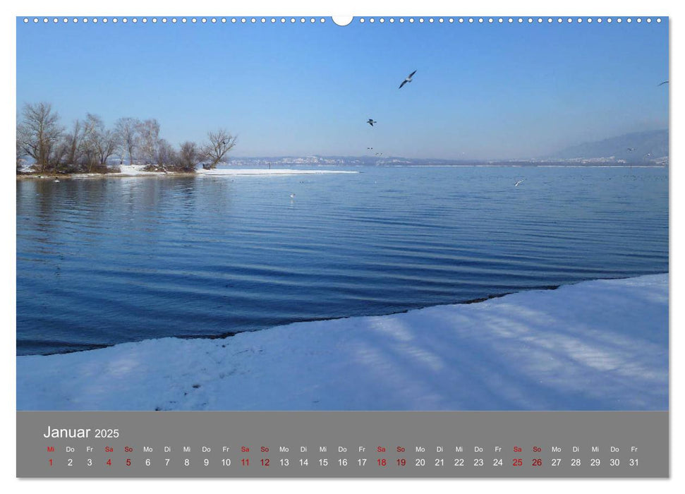 Bodenseeblicke (CALVENDO Premium Wandkalender 2025)