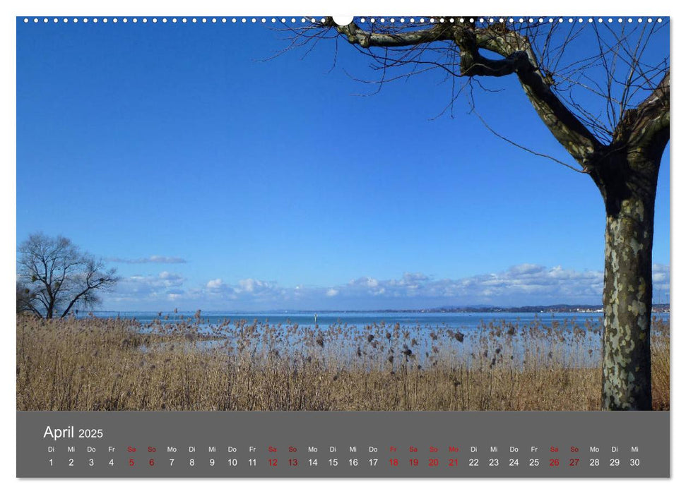 Bodenseeblicke (CALVENDO Premium Wandkalender 2025)