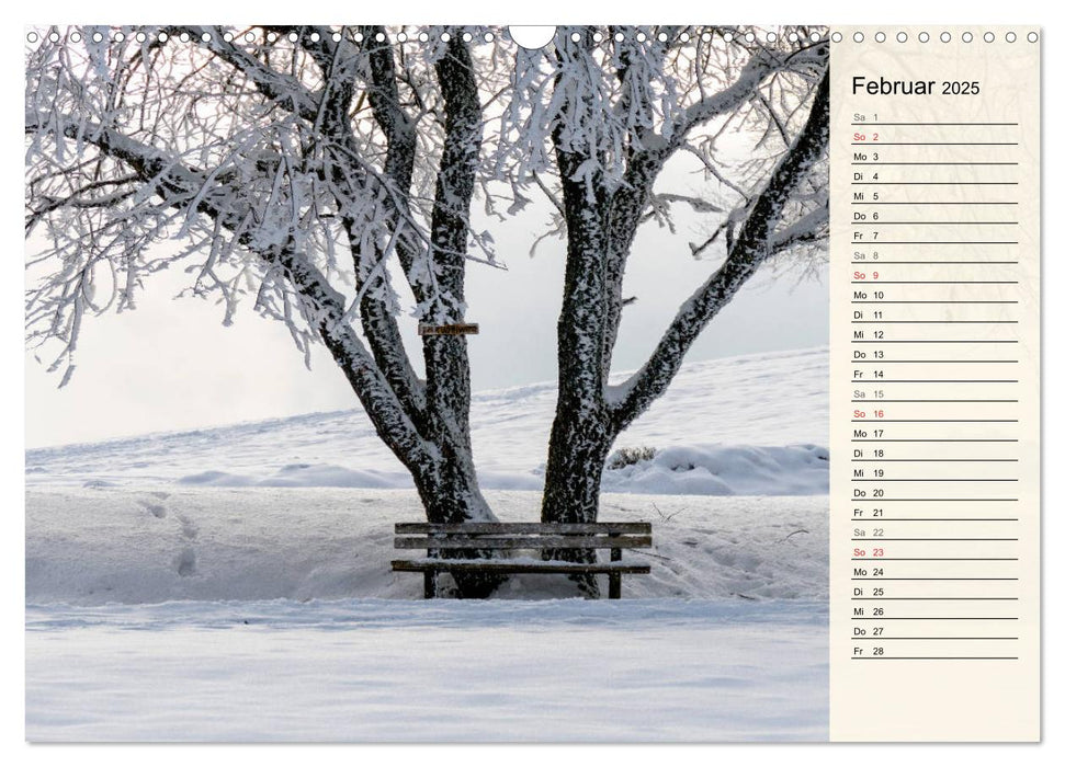 Auf Schusters Rappen... Südlicher Oberrhein und Südschwarzwald (CALVENDO Wandkalender 2025)