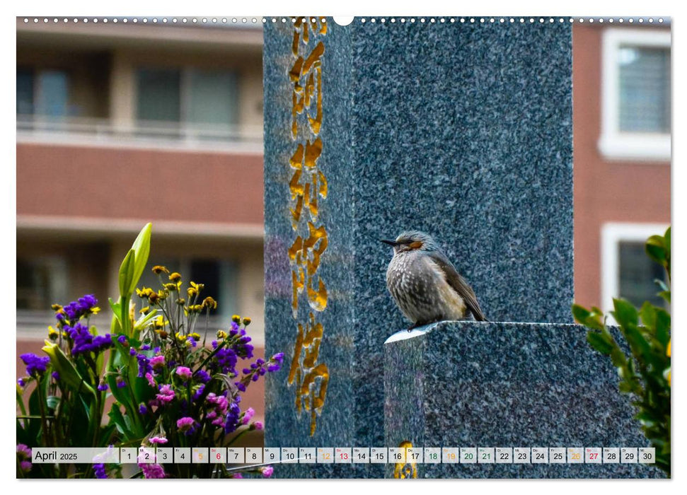 Japan - Tokio, Yokohama, Nagasaki (CALVENDO Premium Wandkalender 2025)