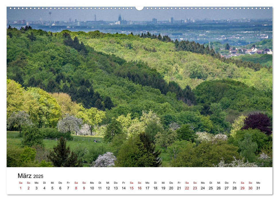 Höhepunkte des Siebengebirges (CALVENDO Premium Wandkalender 2025)