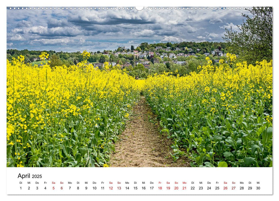 Höhepunkte des Siebengebirges (CALVENDO Premium Wandkalender 2025)