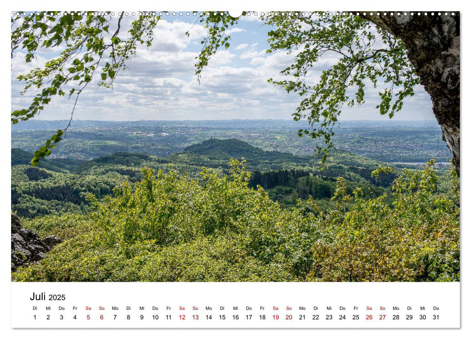 Höhepunkte des Siebengebirges (CALVENDO Premium Wandkalender 2025)