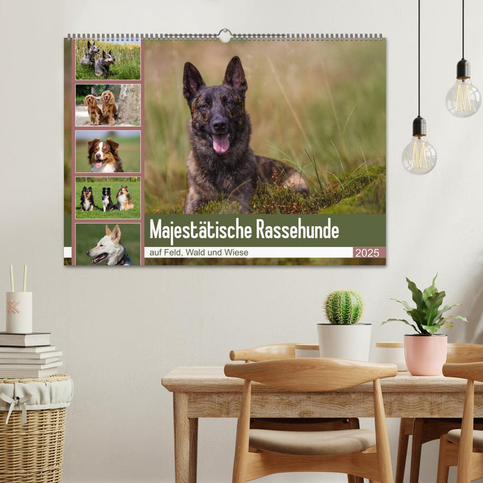 Mäjestätische Rassehunde auf Feld, Wald und Wiese (CALVENDO Wandkalender 2025)